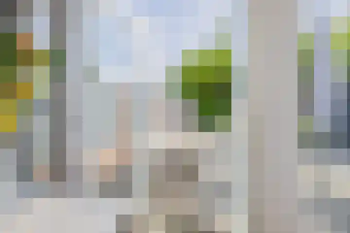 Wilderbeekstraat 28 Tegelen thumbnail 7