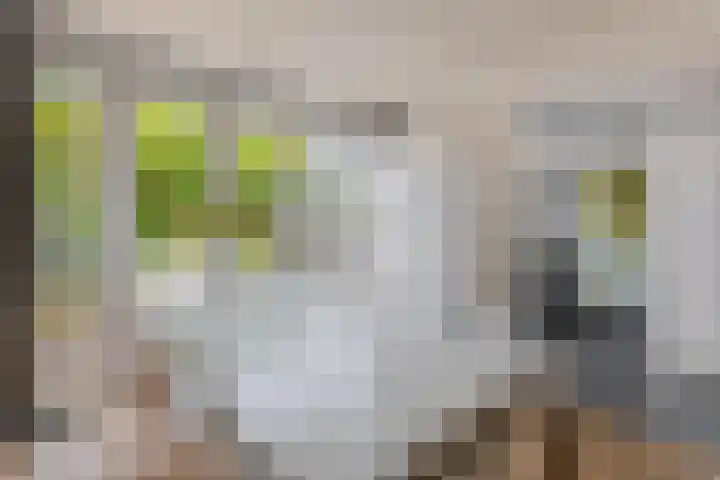 Wilderbeekstraat 28 Tegelen thumbnail 8