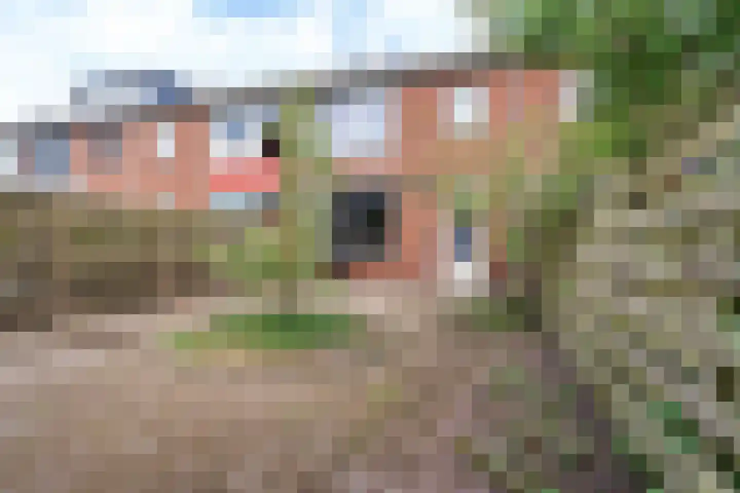 Wilderen 148 Breda thumbnail 21