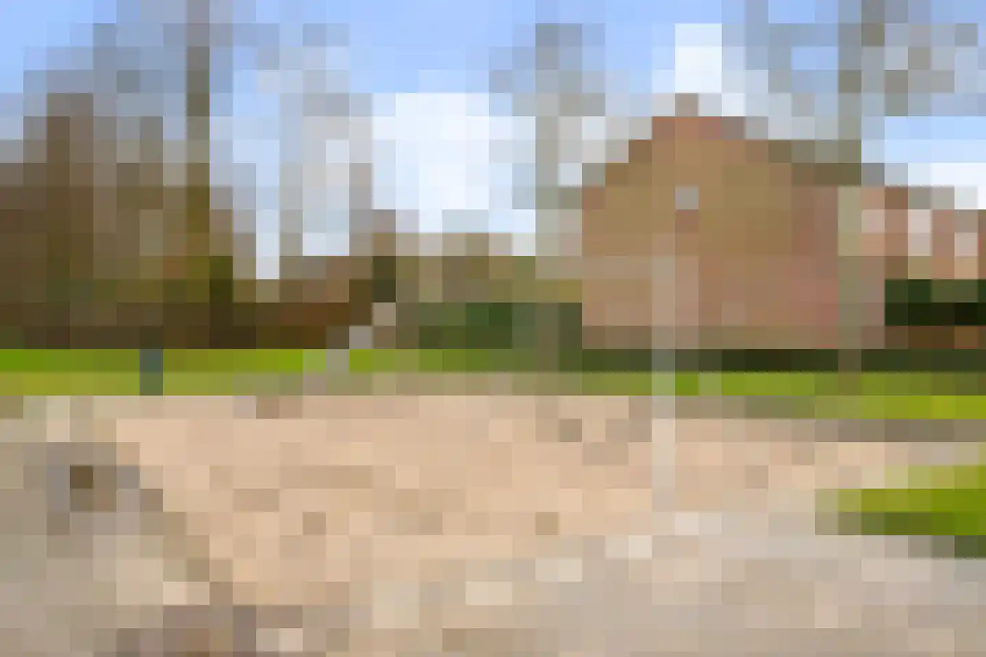 Wilderen 148 Breda thumbnail 26