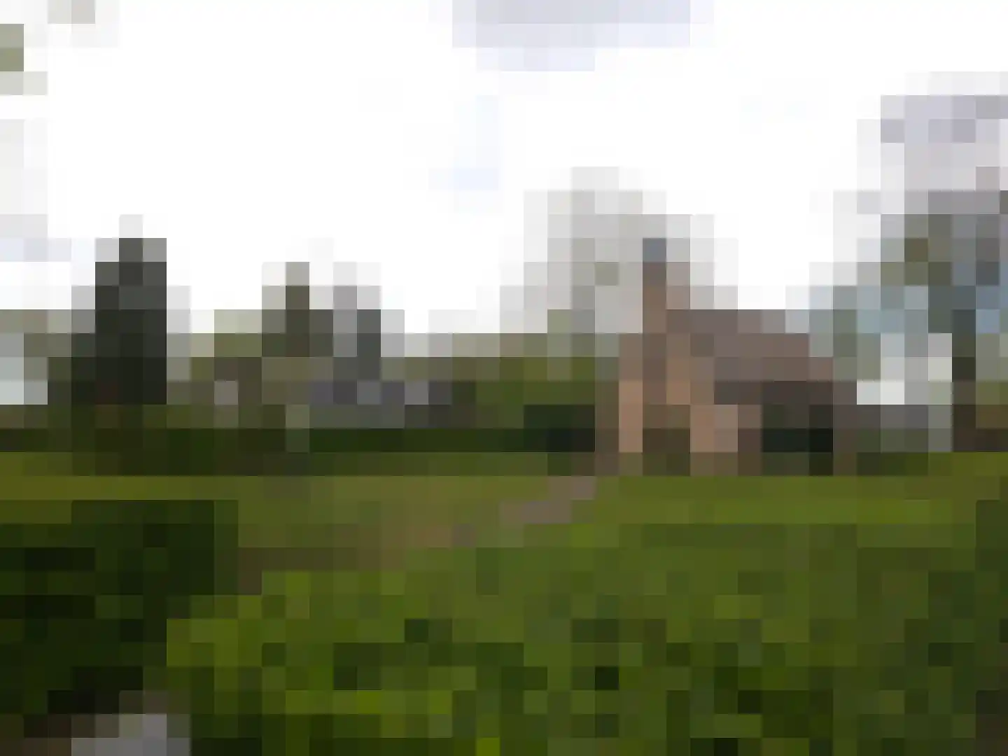 Wilderen 148 Breda thumbnail 28