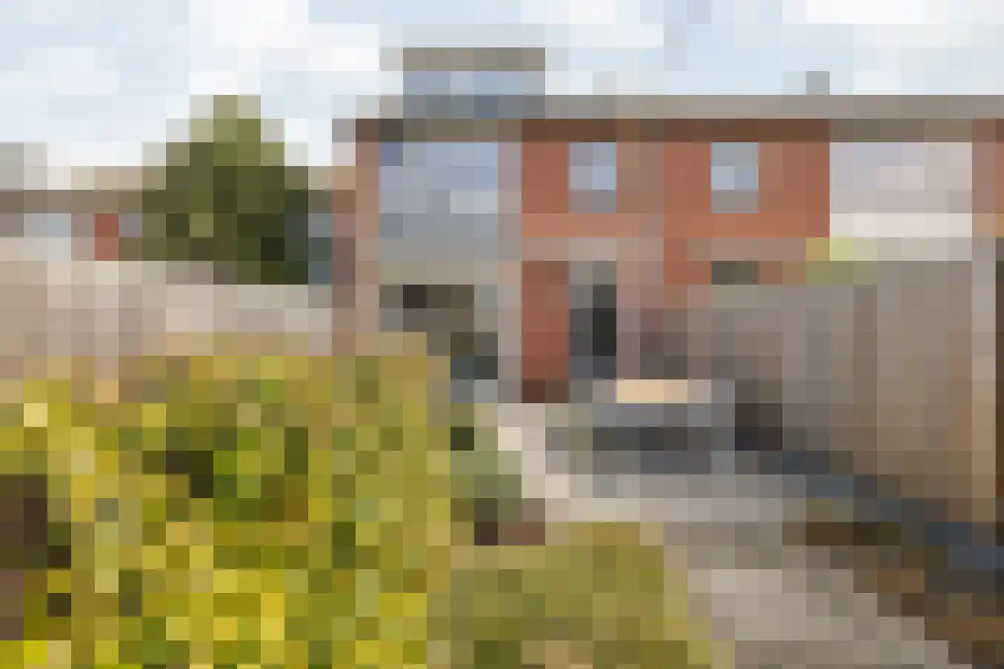Wilderen 214 Breda thumbnail 5