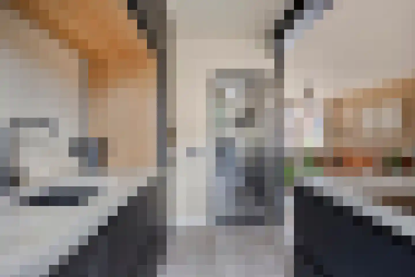 Wilderen 215 Breda thumbnail 13