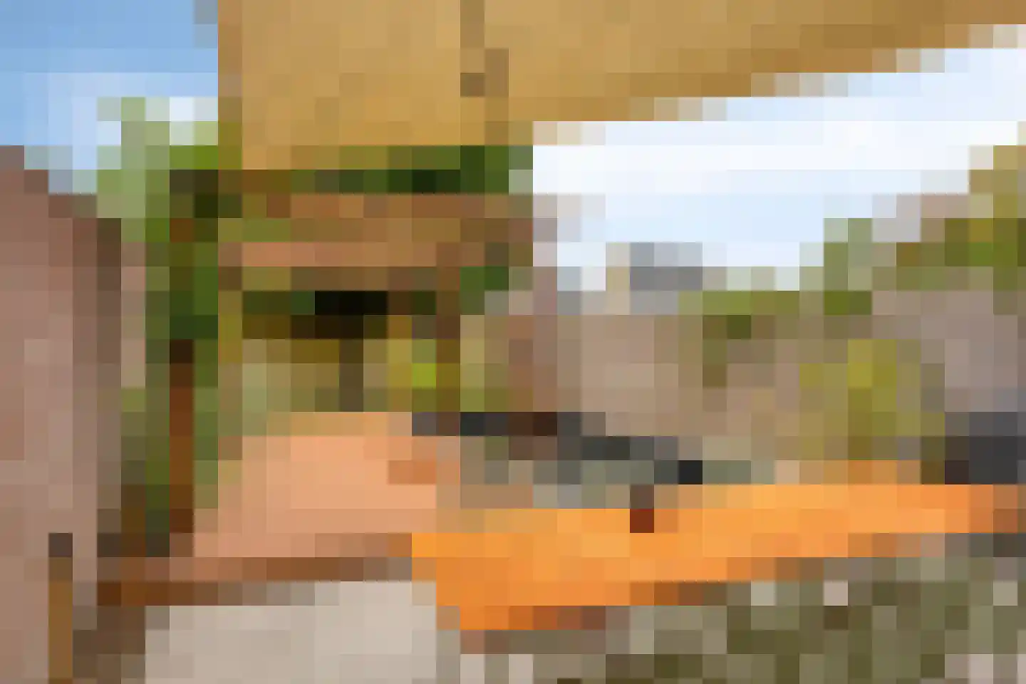 Wilderen 215 Breda thumbnail 31