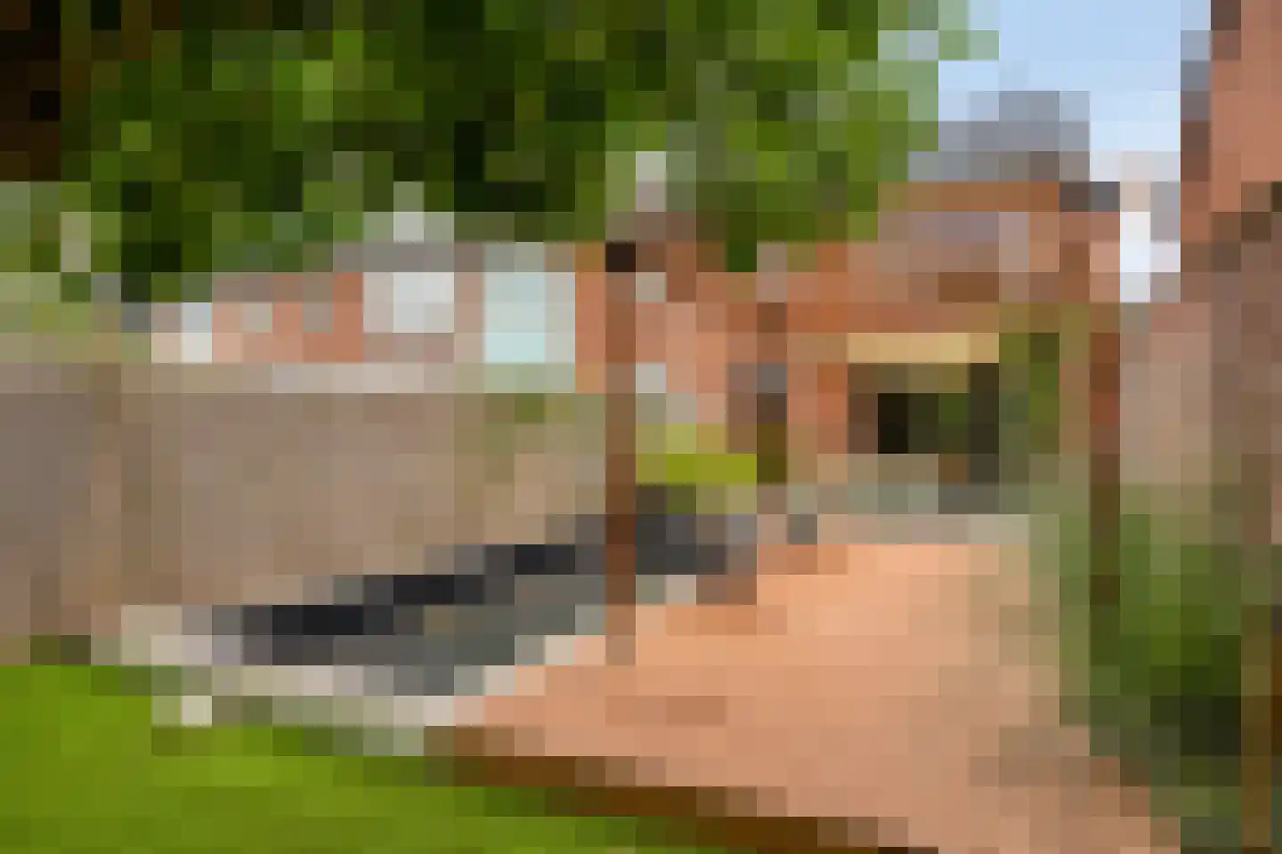 Wilderen 215 Breda thumbnail 32