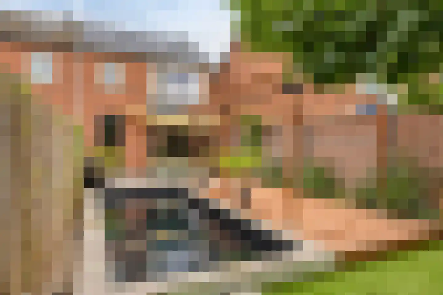 Wilderen 215 Breda thumbnail 33