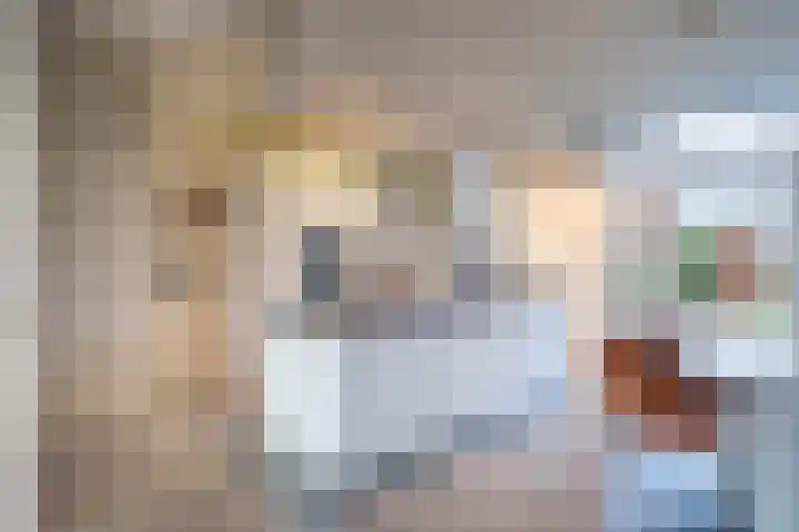 Wilderen 30 Breda thumbnail 11