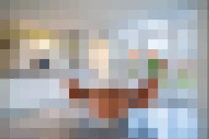 Wilderen 30 Breda thumbnail 13