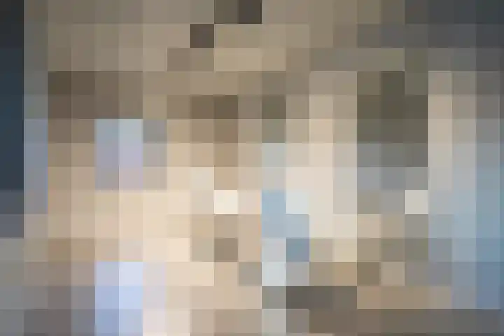 Wilderen 30 Breda thumbnail 32