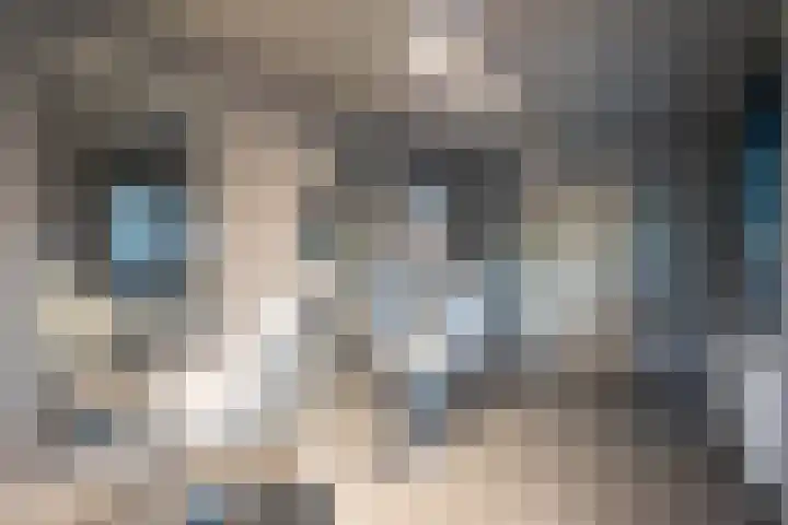 Wilderen 30 Breda thumbnail 33