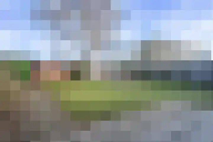 Wilderen 30 Breda thumbnail 36