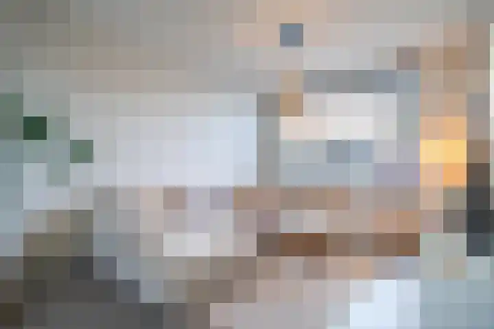 Wilderen 30 Breda thumbnail 9