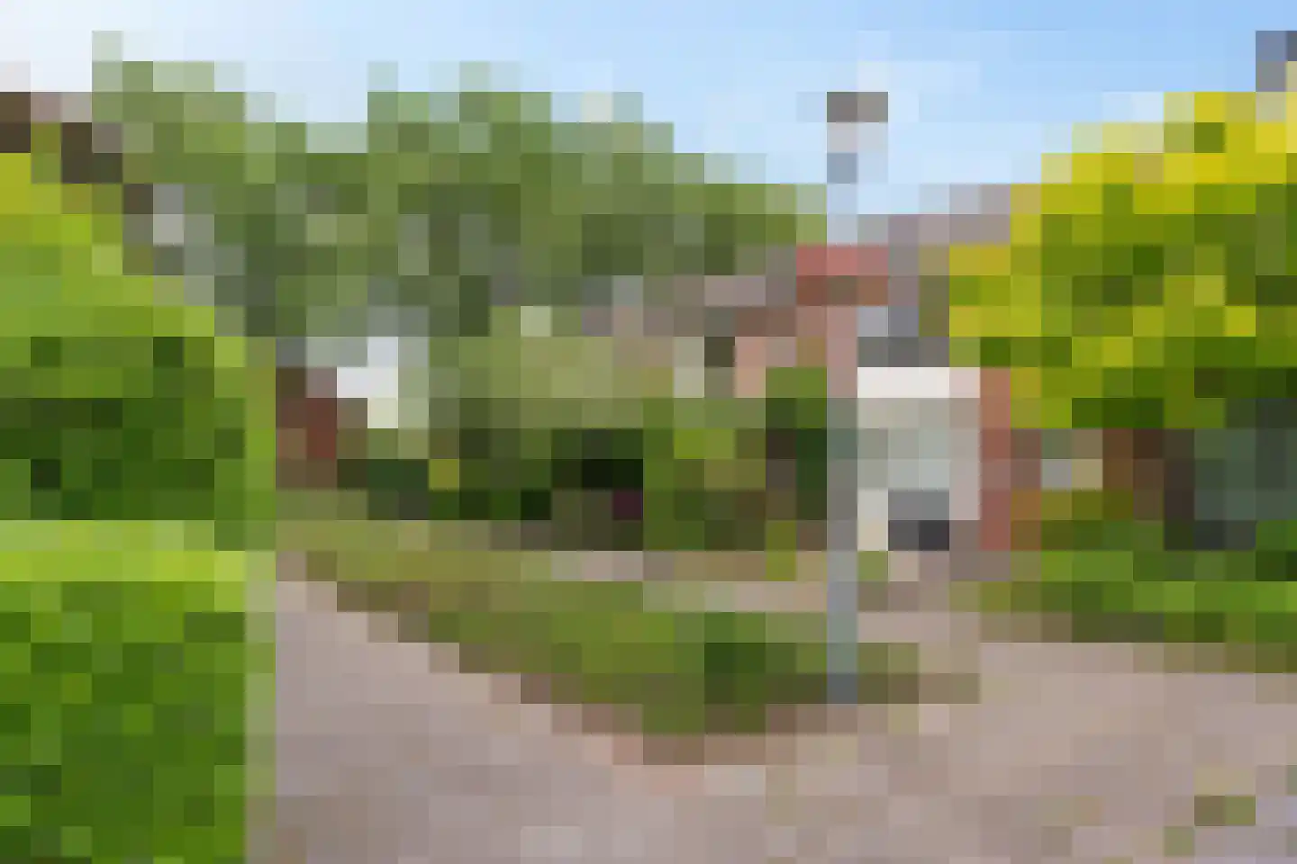 Wilderen 342 Breda thumbnail 39