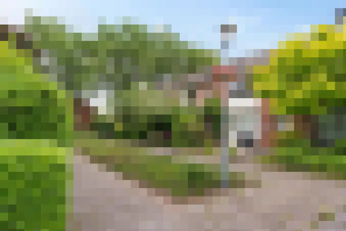 Wilderen 342 Breda thumbnail 39