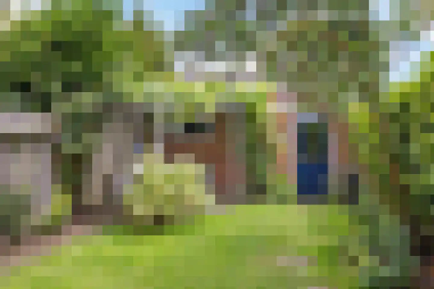 Wilderen 342 Breda thumbnail 4