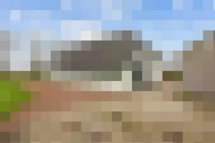 Wilderhofsterweg 7 Tjuchem thumbnail 35