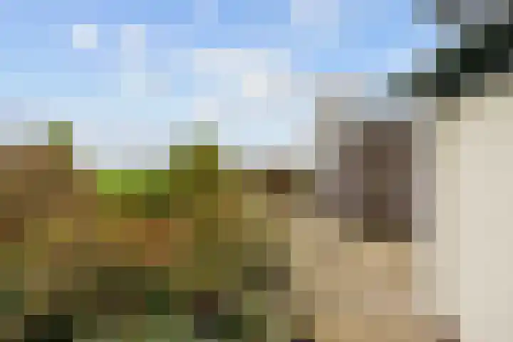 Wilderhofsterweg 7 Tjuchem thumbnail 36