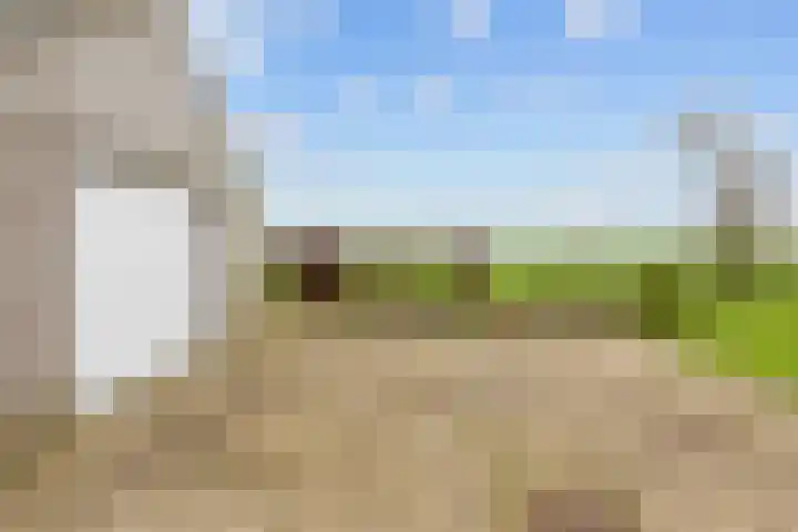 Wilderhofsterweg 7 Tjuchem thumbnail 37