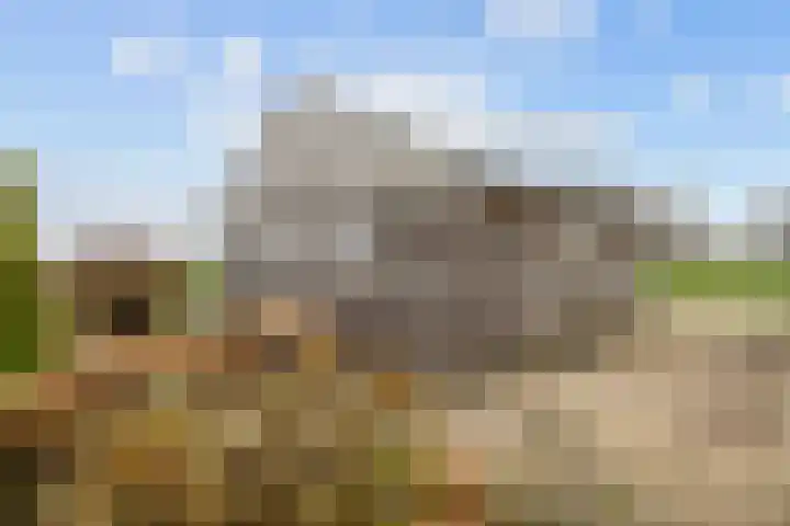 Wilderhofsterweg 7 Tjuchem thumbnail 38