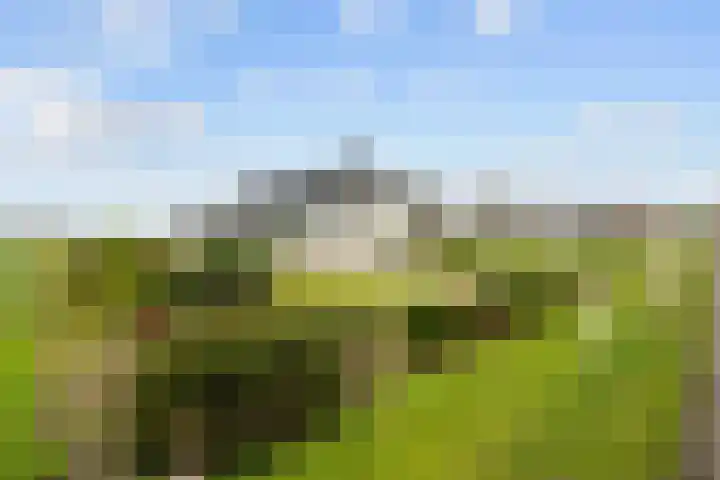 Wilderhofsterweg 7 Tjuchem thumbnail 4