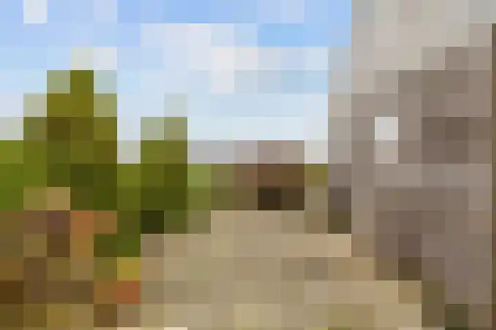 Wilderhofsterweg 7 Tjuchem thumbnail 40