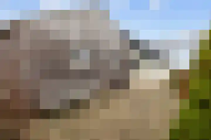 Wilderhofsterweg 7 Tjuchem thumbnail 41