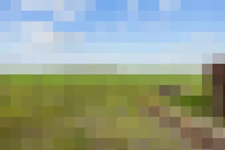 Wilderhofsterweg 7 Tjuchem thumbnail 42
