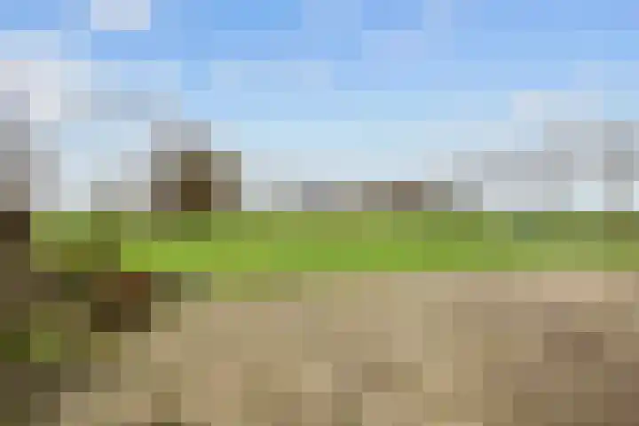 Wilderhofsterweg 7 Tjuchem thumbnail 43