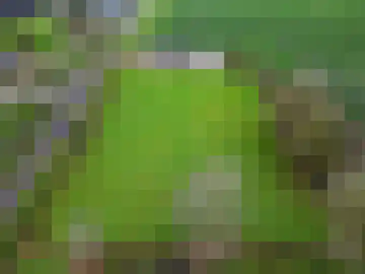Wilderhofsterweg 7 Tjuchem thumbnail 44