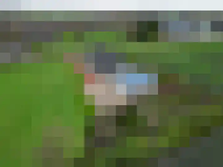 Wilderhofsterweg 7 Tjuchem thumbnail 45