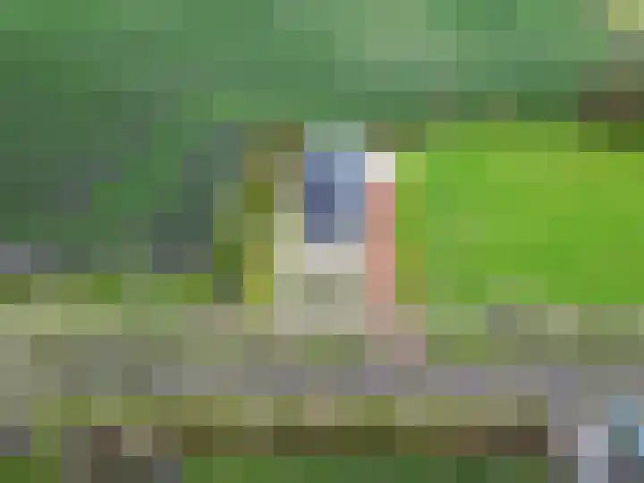 Wilderhofsterweg 7 Tjuchem thumbnail 47