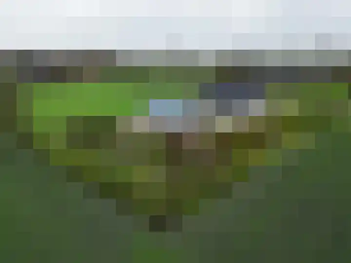 Wilderhofsterweg 7 Tjuchem thumbnail 48