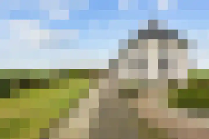 Wilderhofsterweg 7 Tjuchem thumbnail 6