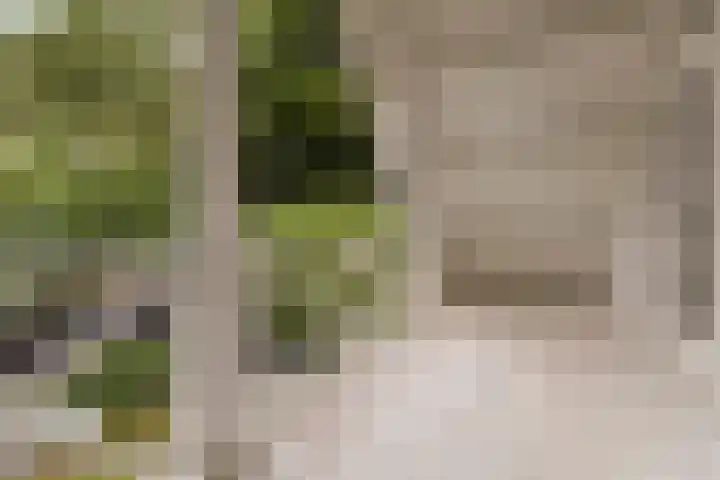Wildernislaan 61 Apeldoorn thumbnail 23