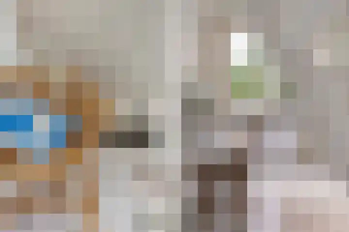 Wildernislaan 61 Apeldoorn thumbnail 32