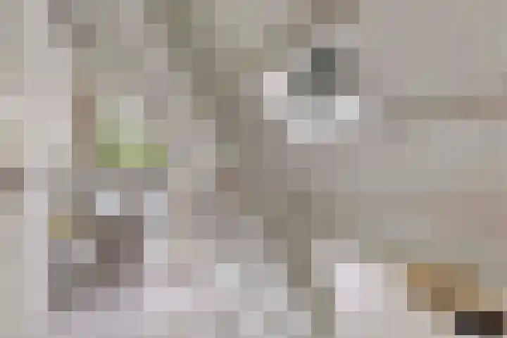 Wildernislaan 61 Apeldoorn thumbnail 33
