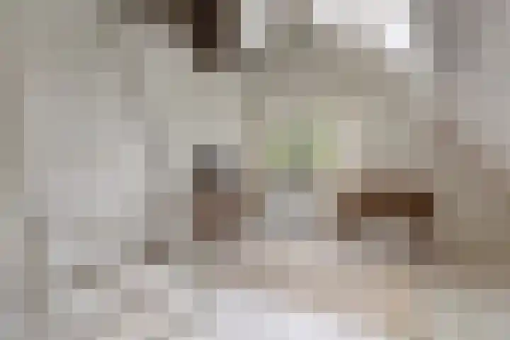Wildernislaan 61 Apeldoorn thumbnail 34