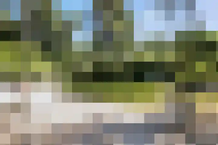 Wildernislaan 61 Apeldoorn thumbnail 38