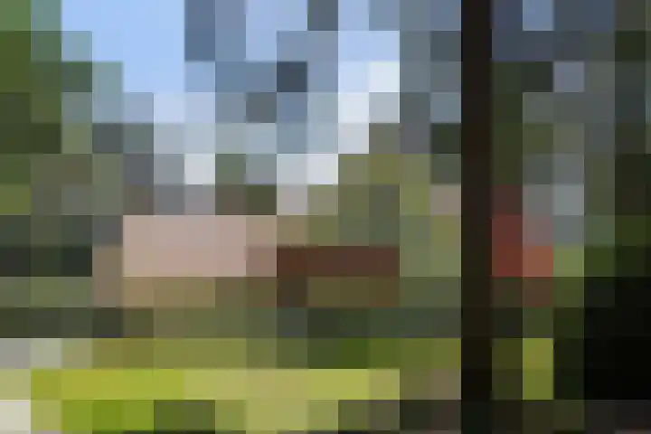 Wildernislaan 61 Apeldoorn thumbnail 4