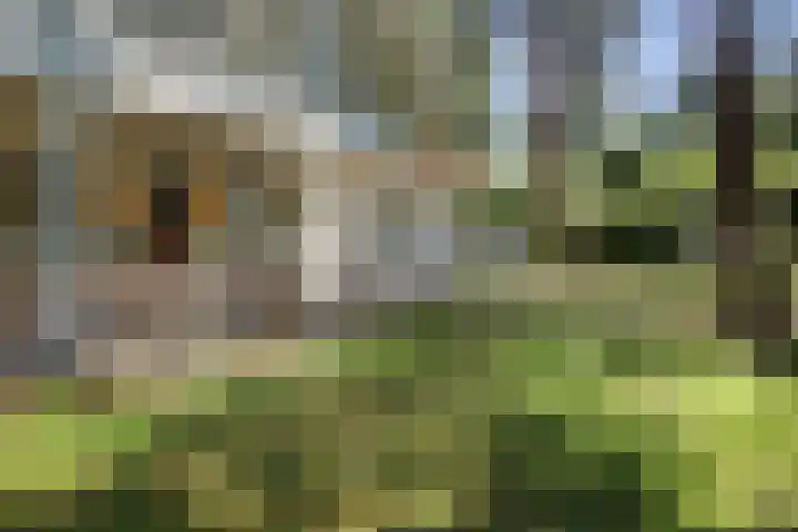 Wildernislaan 61 Apeldoorn thumbnail 41