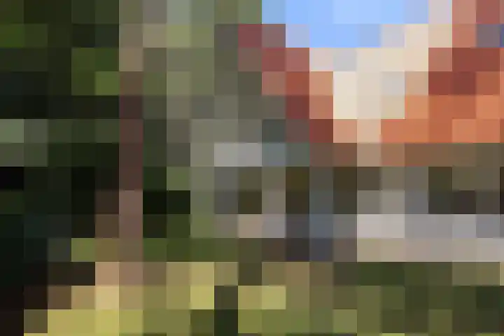 Wildernislaan 61 Apeldoorn thumbnail 42
