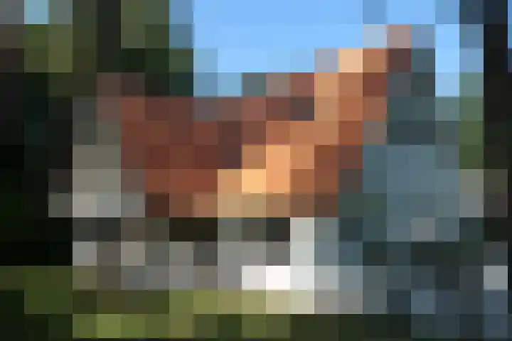 Wildernislaan 61 Apeldoorn thumbnail 43