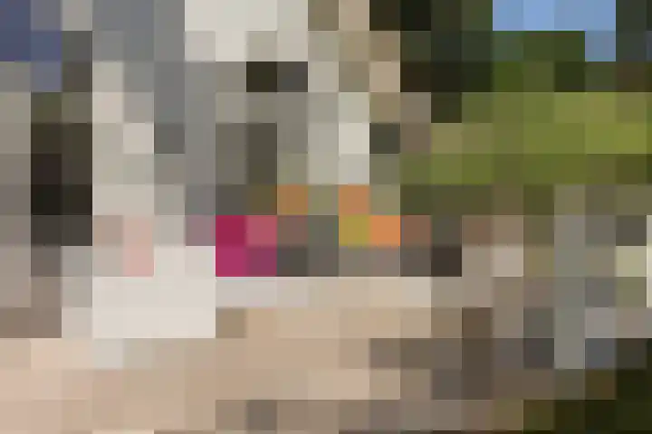Wildernislaan 61 Apeldoorn thumbnail 45
