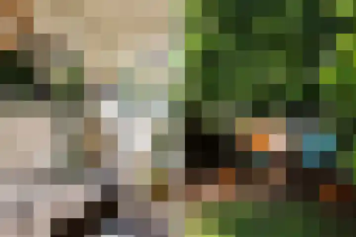 Wildernislaan 61 Apeldoorn thumbnail 47