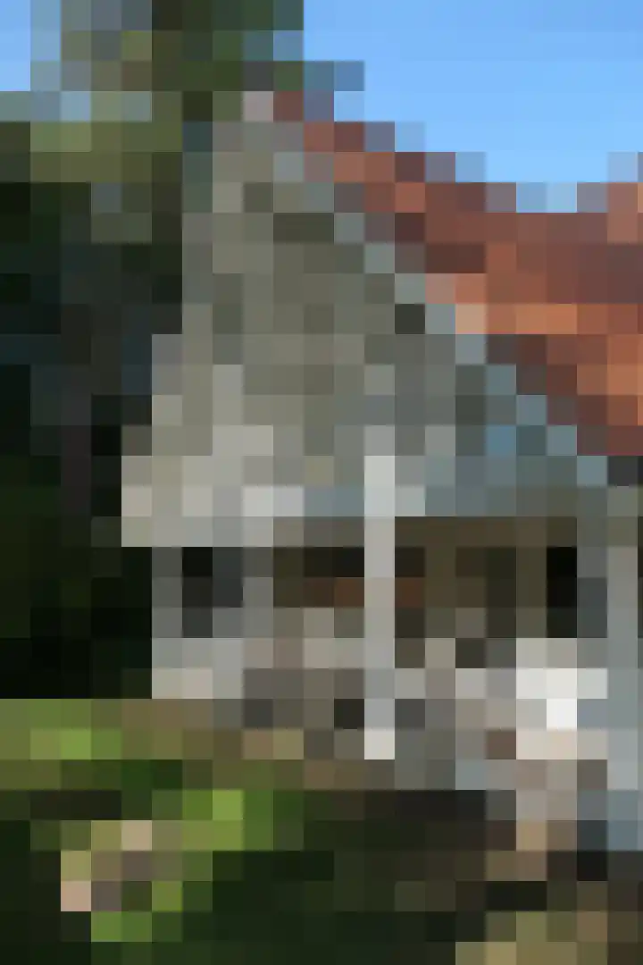 Wildernislaan 61 Apeldoorn thumbnail 48