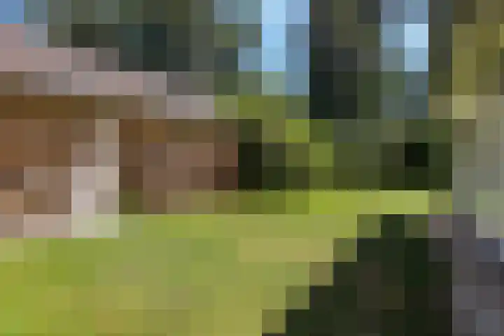 Wildernislaan 61 Apeldoorn thumbnail 49