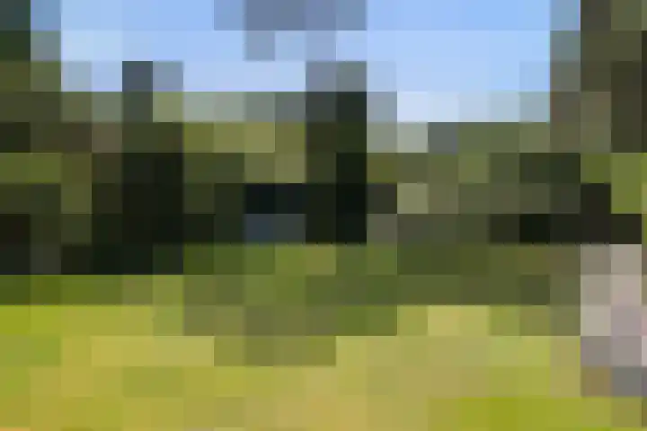 Wildernislaan 61 Apeldoorn thumbnail 50