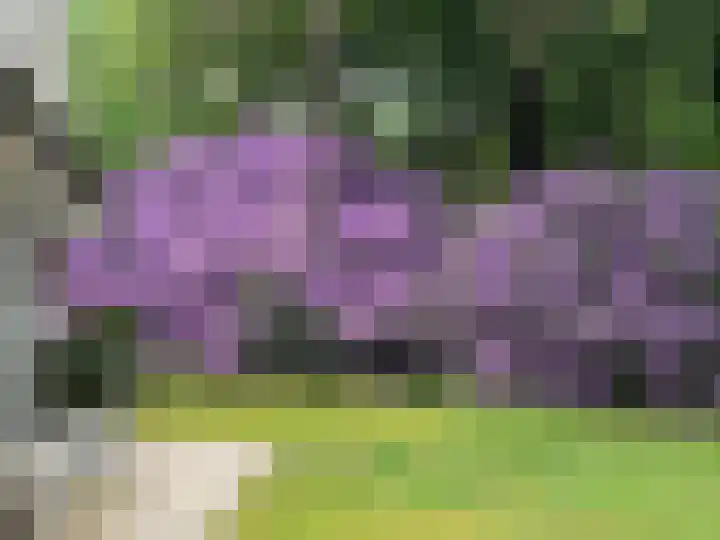 Wildernislaan 61 Apeldoorn thumbnail 51
