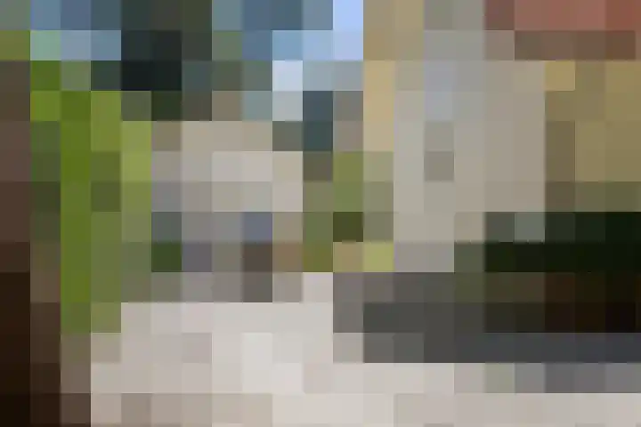Wildernislaan 61 Apeldoorn thumbnail 52