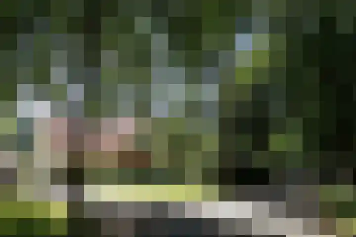 Wildernislaan 61 Apeldoorn thumbnail 54